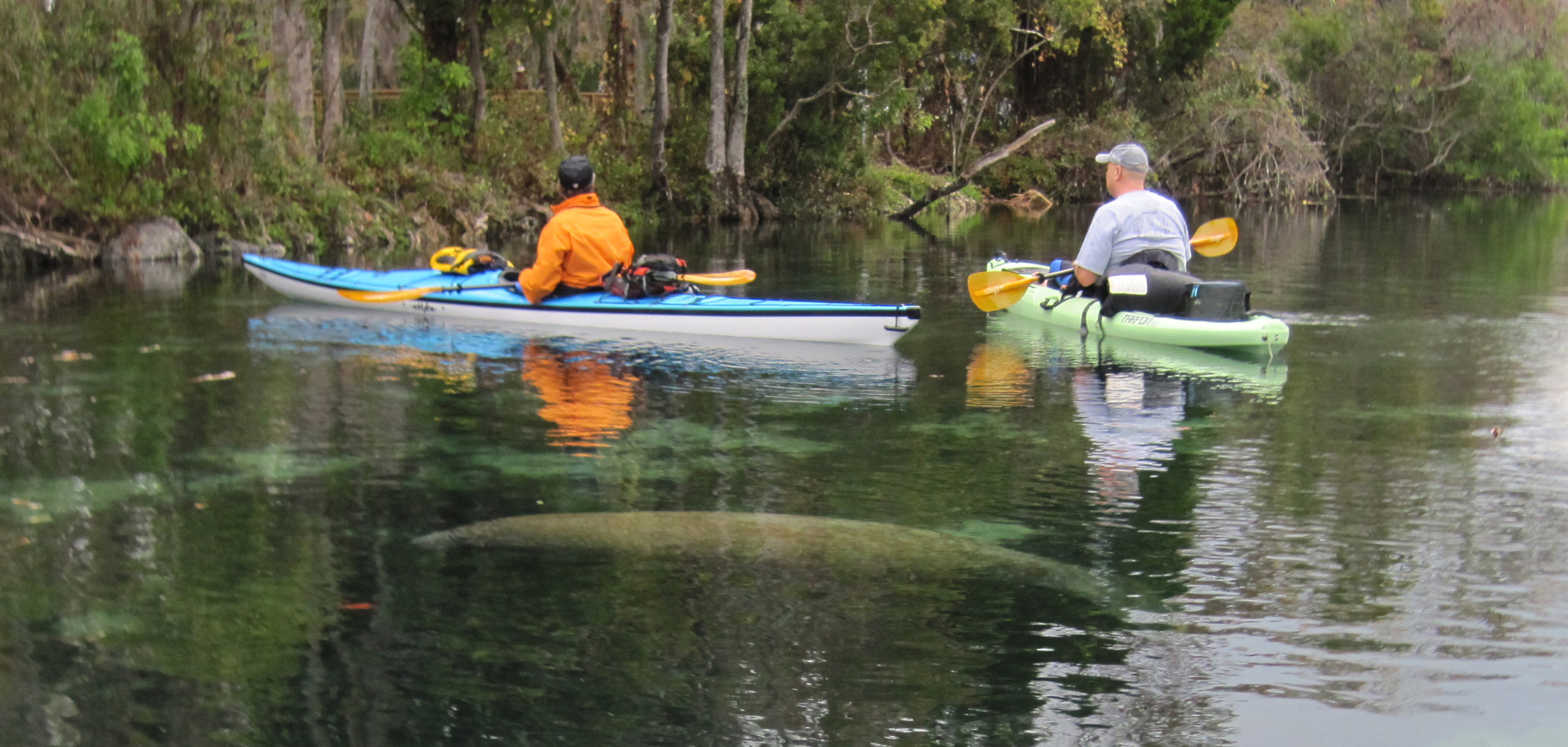 What Type of Kayak Should I Buy? | Northwest Florida Outdoor Adventure