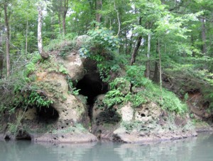 Cave Feature on the Chipola River