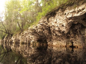 Limestone Formations on the Suwannee River. Photo by Vitor Baptista