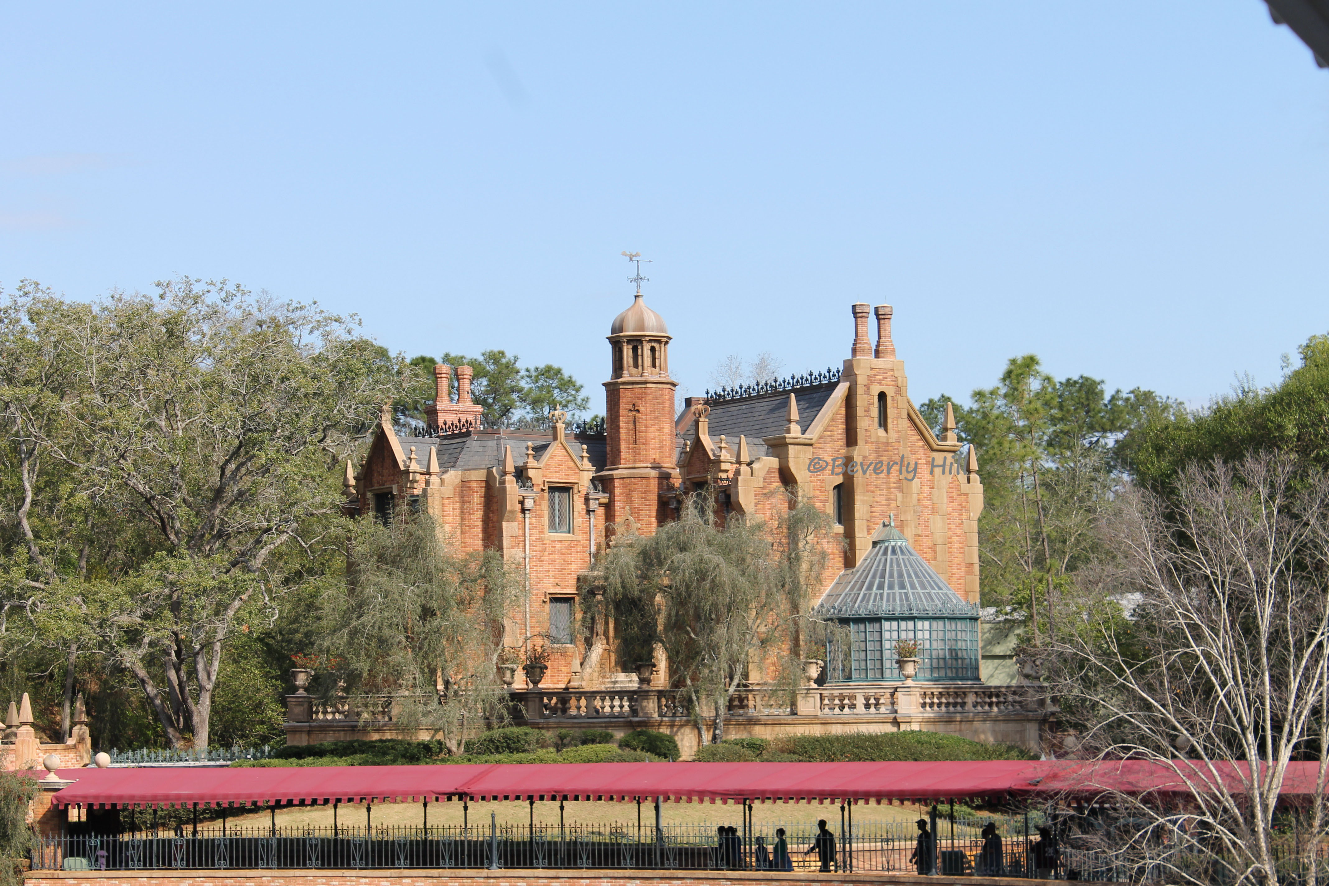 A Review of the Magic Kingdom at Walt Disney World | Northwest Florida