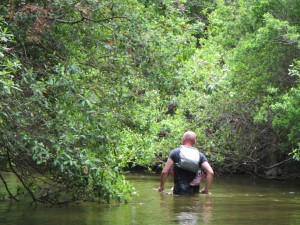 A lost hiker wading along Turkey Creek. 