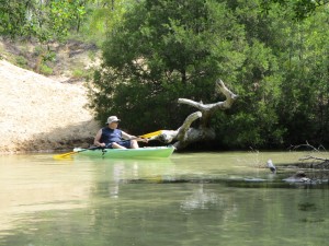 Turkey Creek on Eglin Reservation
