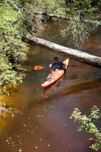 A kayaker enjoying a leisurely float down Econfina Creek. 