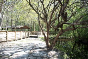 Boardwalks at H. A. Laird City Park in Freeport, Fla