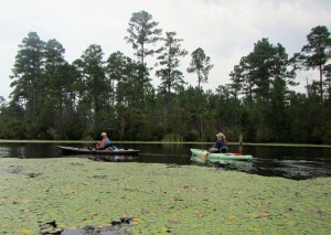 Kayakers paddling on Karick Lake.