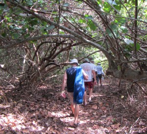 Following the shaded path to a secluded beach. 