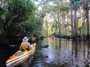 Kayakers float down the Loxahatchee River. 