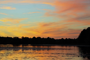 Sunset over Lake Seminole