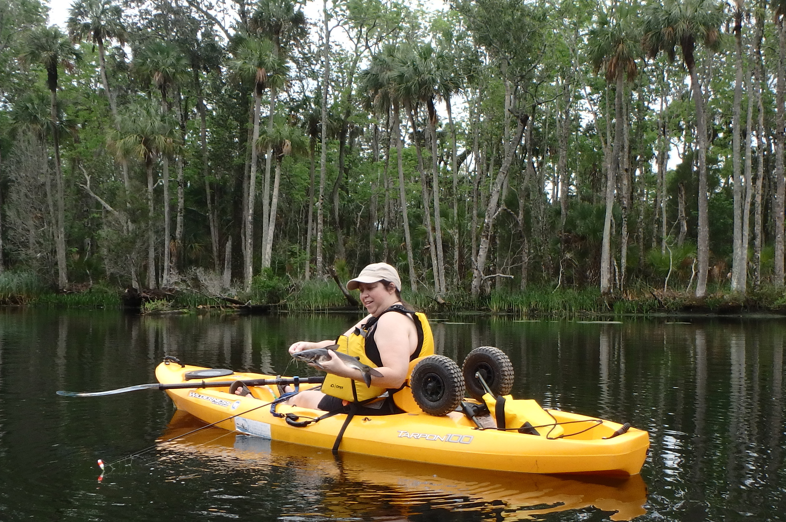 Kayaking on Big Escambia Creek on the Alabama/Florida Line 