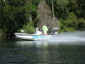 Speeding boat on the Chassahowitzka River