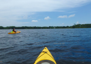 Kayaking Across Basin Bayou 