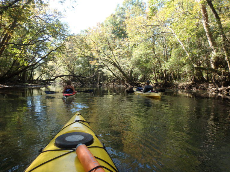 Hiking the Upper Econfina Creek Trail | Northwest Florida 