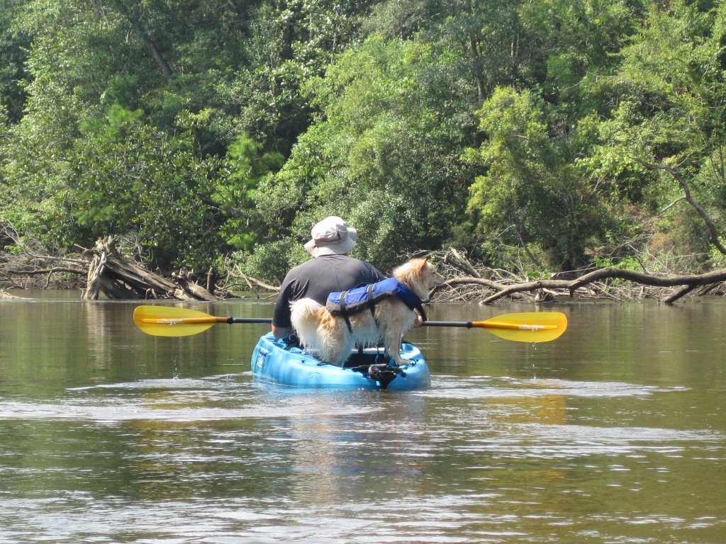 Chassahowitzka River Kayaking Part Two | Northwest Florida 