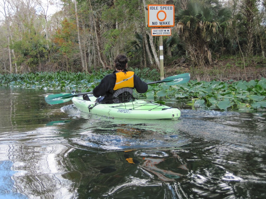 Kayaking With Your Dog | Northwest Florida Outdoor Adventure